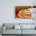 thumbnail image 3 of Trademark Fine Art 'Polly Eye' Canvas Art by Dana Brett Munich, 3 of 3