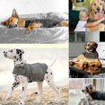 thumbnail image 5 of Dog Anxiety Jacket | Vet Recommended Calming Solution Vest For Fireworks, Thunder, Travel, & Separation, 5 of 5