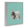 thumbnail image 3 of Stupell Industries Glam Long Haired Dog in Crown Gray Framed Giclee Art, 12 x 12, by Amelia Noyes, 3 of 8