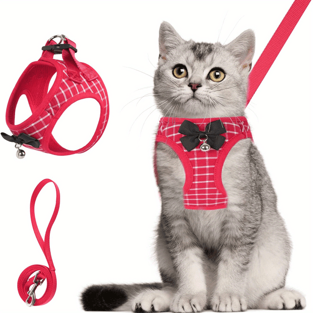 Dog Cat Harness And Leash 5FT Soft Mesh Breathable Walking Escape Proof For Small Medium Cat Vest