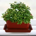 thumbnail image 6 of 5 Sets Bonsai Tree Outlet Pot Succulent Plants Rectangle Office, 6 of 6