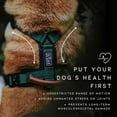 thumbnail image 5 of Made To Roam Premium Explorer Harness - Y-Shaped Dog Harness with Adjustable Durable Nylon, Soft Padding, Metal Buckles and Leather Handle for Small, Medium, Large Dogs (Michigan Autumn, Size 1), 5 of 7