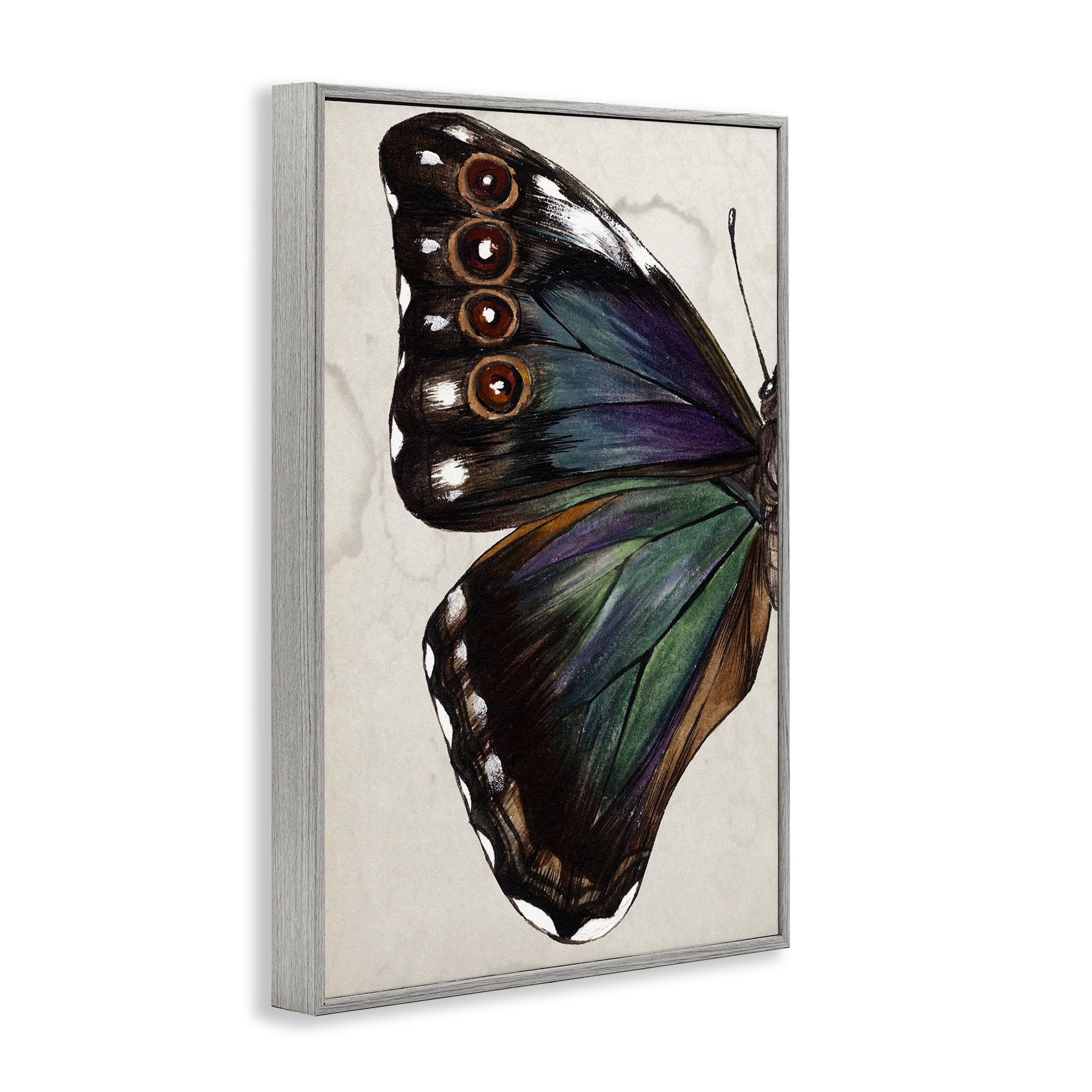 Stupell Industries Traditional Butterfly Wing Animals & Insects Painting Gray Framed Art Print Wall Art, 12 x 18