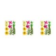 thumbnail image 2 of Conjunto de flores secas sweethay fotografía DIY calcomanía de flores reales, 2 of 6