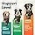 thumbnail image 3 of VetriScience Extra Strength Healthy Hip & Joint Chews, 3 of 12