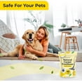 thumbnail image 4 of Aromasong Carpet Deodorizer Powder, 100% Natural Citrus, Safe for Pets, Carpet Powder for Vacuuming, Pet Odor Eliminator, 13 oz, 4 of 9