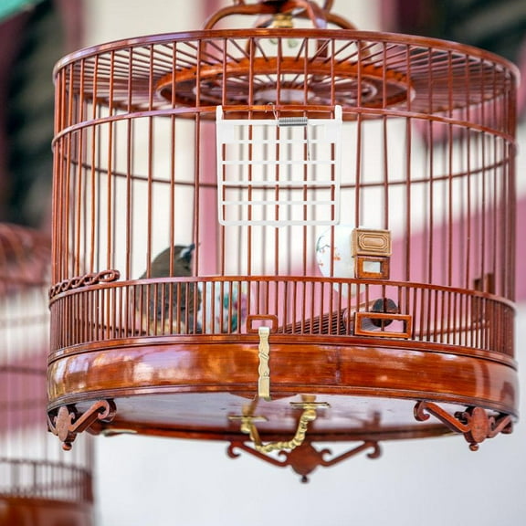 HONMEET 8pcs Bird Cage Spring Door White Plastic Replacement Birdcage Doors for Small Pet Bird Cages