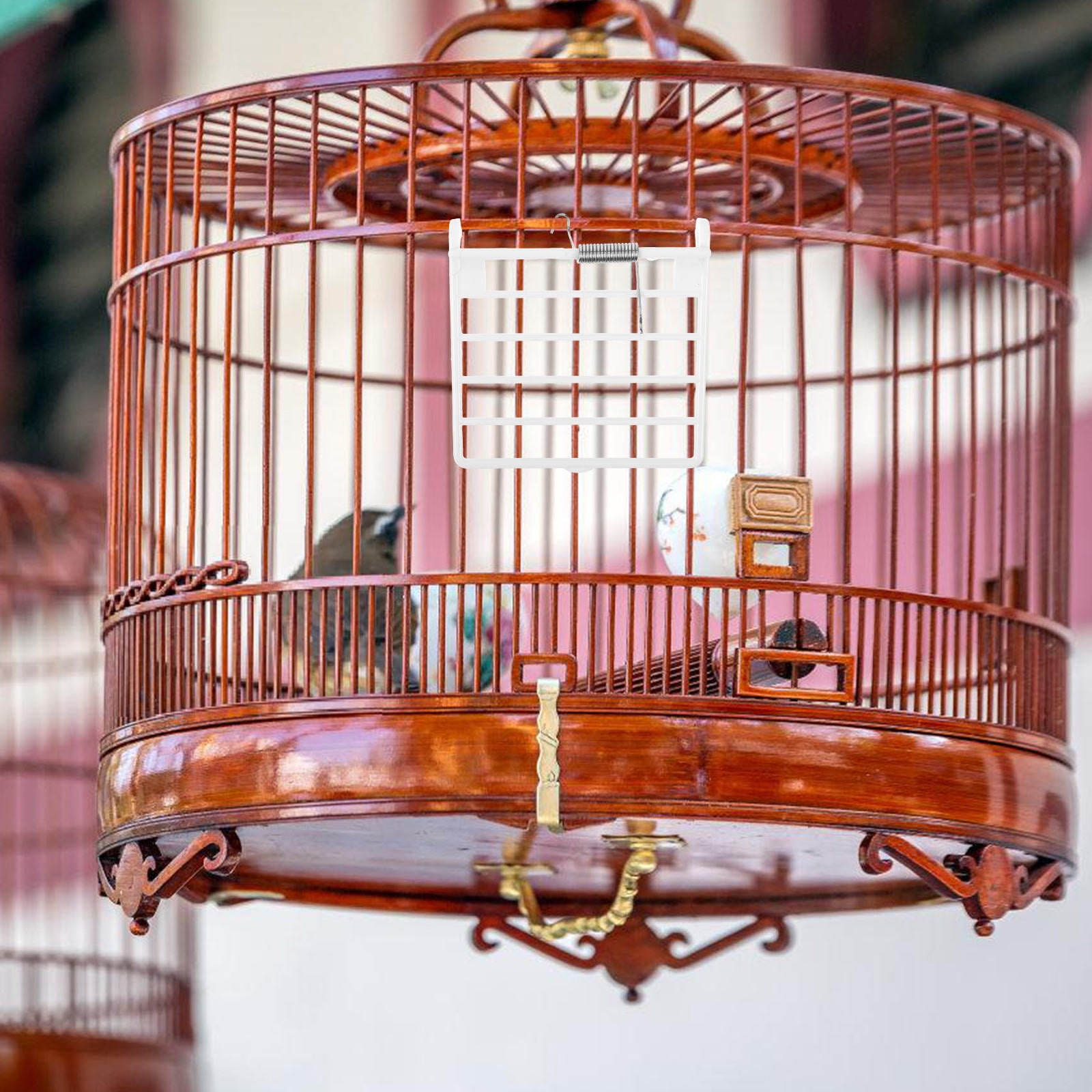 FOMIYES 3-Piece Bird Cage Door Accessories, Plastic Hanging Clips for Parakeet, Finch, Canary and Small Bird Cages