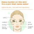 thumbnail image 4 of Mascarillas faciales Meleell Collagen Hydrating & Hydrating (36 paquetes), 4 of 7