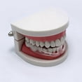 thumbnail image 5 of 4 Pack Teeth Mouthguards Eliminate Grinding Dental Guard Night Use, 5 of 5