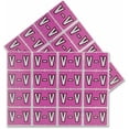 thumbnail image 1 of Pendaflex PFX06623 Color Coded Label, 1 of 1