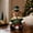 Green, variant on Nutcracker Style Christmas Teddy Bear, Green Soldier Costume Design Design, Soft Plush Fabric, 11.8 x 4.7 x 2.8 in, 1 Count