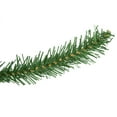 thumbnail image 2 of Northlight 6.5' Winona Fir Artificial Christmas Tree, Unlit, 2 of 5