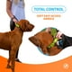 thumbnail image 3 of Collar para perros SparklyPets Heavy Duty con asa para perros medianos, 3 of 5