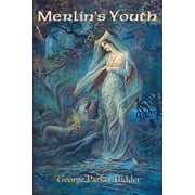 Merlin's Youth (Paperback)