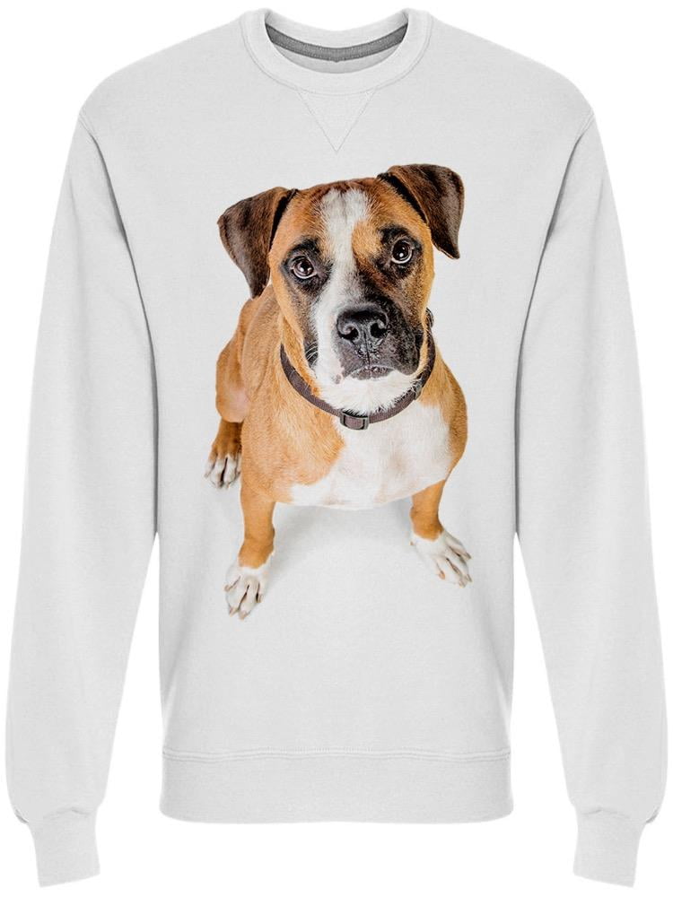 Everything boxer sweatshirt Clearance