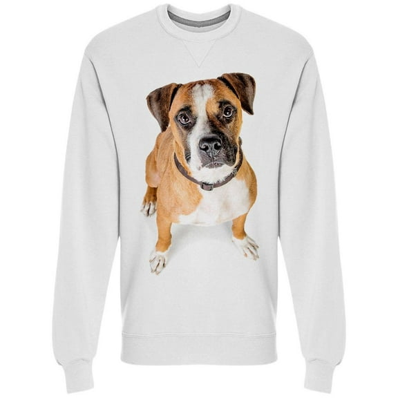 Overhead Photo Of Boxer  Sweatshirt Men -Image by Shutterstock, Male Small