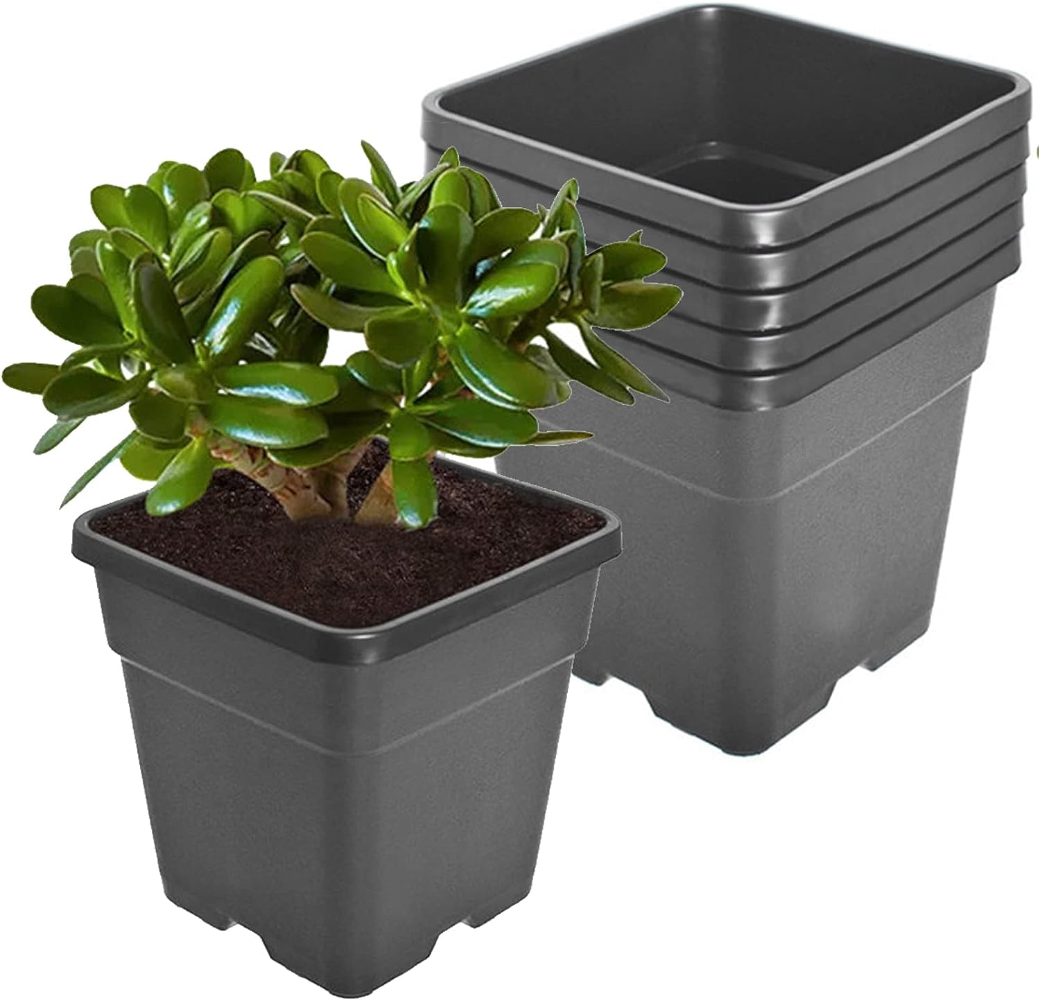 netuera 5 Pcs Plastic Planter Pots, 10 Gallon Black Flower Square Pot for Garden Yad Office with Drainage Hole