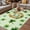 Multicolor, variant on Saint Patrick's Day Outdoor Rug for Patio/Deck/Porch, Non-Slip Large Area Rug 4 x 6 Ft, Horseshoe Green Botanical Clovers Leaf Indoor Outdoor Rugs Washable Area Rugs, Camping Rug Carpet Runner