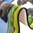 thumbnail image 6 of SKYSONIC Cow Cattle Grassland Runner Rug, 2'¡Á6' with Rubber Backing Funny Animal Summer Non Slip Entryway Rug Runner Washable Soft Area Rug Carpet for Hallway Bedroom Kitchen Decor, 6 of 6