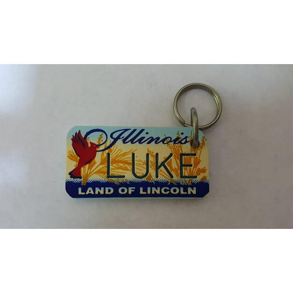 Illinois Land of Lincoln Luke Keychain Key Holder Key Ring New