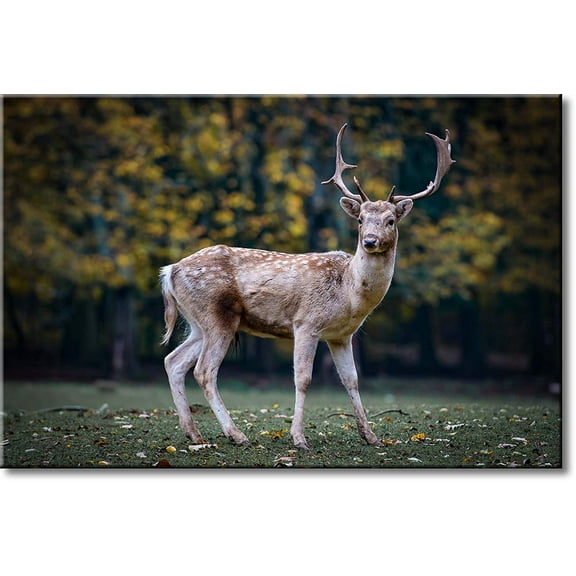 Deer in Nature Original Picture on Stretched Canvas, Wall Art Décor, Ready to Hang