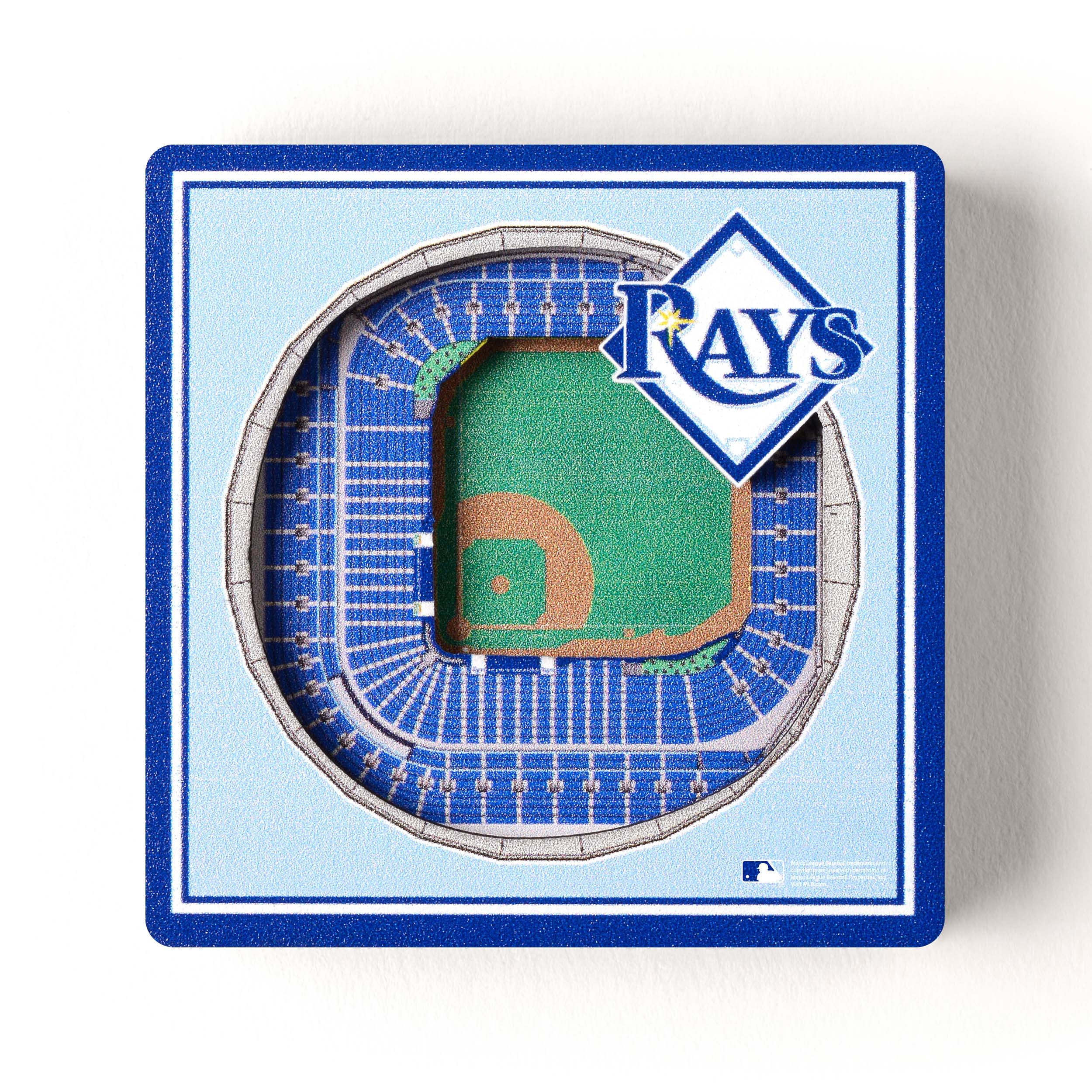 Tampa Bay Rays Stadium View Magnet