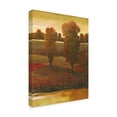 thumbnail image 2 of Trademark Fine Art 'Illuminating Sky II' Canvas Art by Tim OToole, 2 of 4