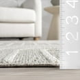 thumbnail image 2 of nuLOOM Liliya Modern Geometric Machine Washable Area Rug, 8' 10" x 12', Liliya Light Grey, 2 of 9