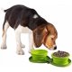 thumbnail image 2 of All For Paws Dog Bowl Collapsible Dog Bowl Portable Dog Water Bowl Water Bowls for Large Dogs Dog Water Bottle for Travel, Green - -, 2 of 4