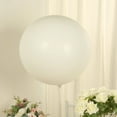 thumbnail image 2 of BalsaCircle 5 Off White 36 in Round Latex Biodegradable Balloons Wedding Reception Events Graduation Birthday Party Decorations Supplies, 2 of 8