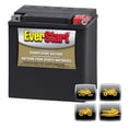 thumbnail image 1 of EverStart POWERSPORT PREM ES-TX30L, 12 Volt, Power Sports Battery, 400 CCA, 1 of 5