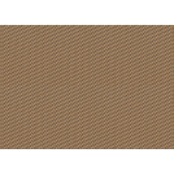 Ahgly Company Indoor Rectangle Patterned Brown Sugar Brown Area Rugs, 2' x 3'