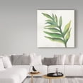 thumbnail image 3 of Trademark Fine Art 'Tropical Palm I' Canvas Art by Chris Paschke, 3 of 3