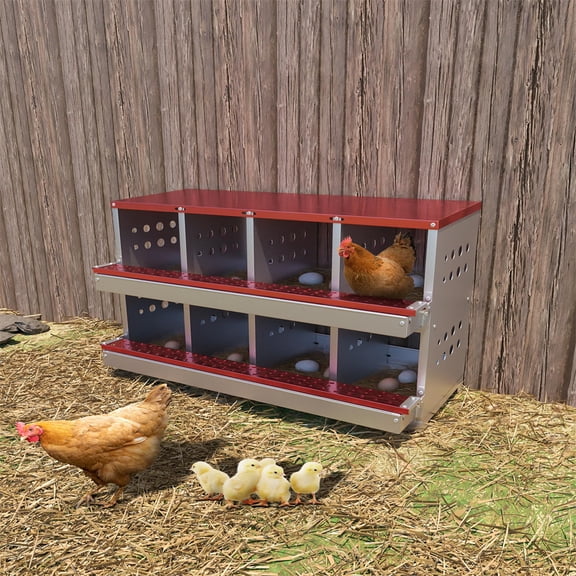 Metal Chicken Nesting Box for Laying Eggs, Rustproof Wall-mountable Roll Away Chicken Laying Boxes for Hens, Waterproof, Ventilated with Perch, 8 Compartments