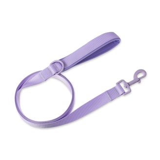 safest dog chew toys Krunch'ems Interactive Dog Chew Toy main image 1