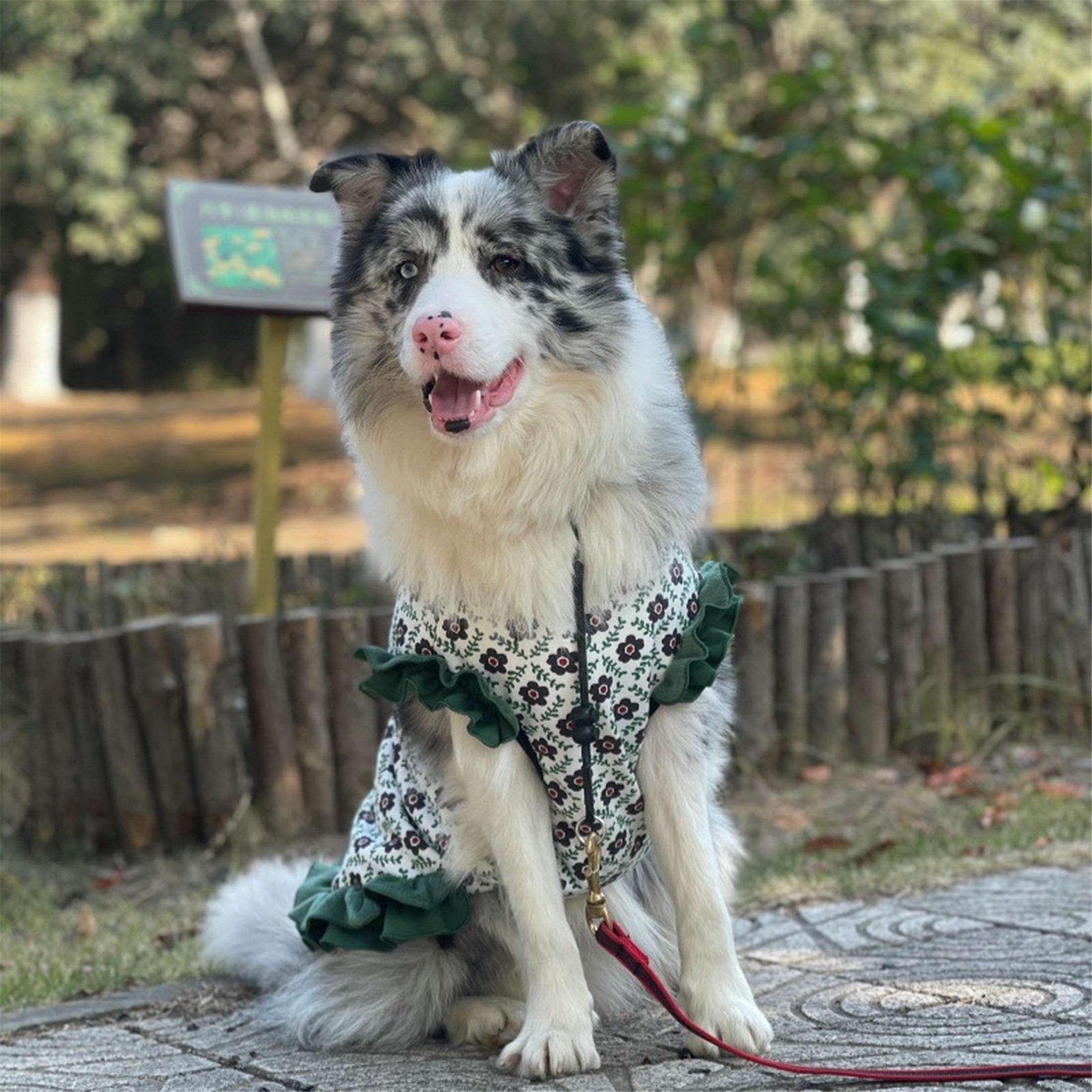 HQREA Floral Dog Dresses for Large Dogs Girl Elastic Spring Autumn Female Clothes Cute Birthday Party Princess Cake Tutu Skirt