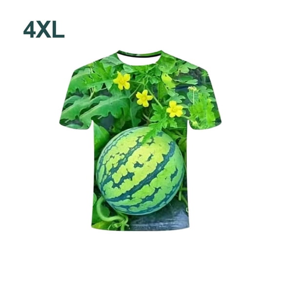 Funny 3D Watermelon Belly T Shirt, Summer Fruit Graphic Tee, Novelty Dad BOD Shirt, Lightweight Loose Fit