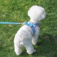 thumbnail image 2 of Soft Mesh Step In Dog Harness And Leash Set With Reflective Bands For Secure Walking Comfort Adjustable No Pull Pet Supplies For Small Dogs And Cats, 2 of 2