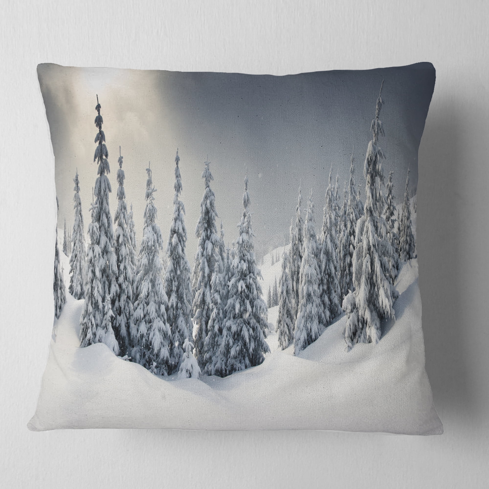 Designart Winter Landscape - Photography Throw Pillow - 18x18