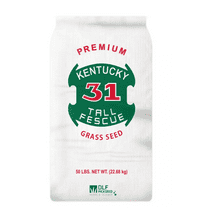 DLF 50 lb. 8,000 sq. ft. Kentucky-31 Tall Fescue Grass Seed