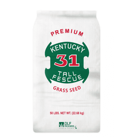 DLF 50 lb. 8,000 sq. ft. Kentucky-31 Tall Fescue Grass Seed