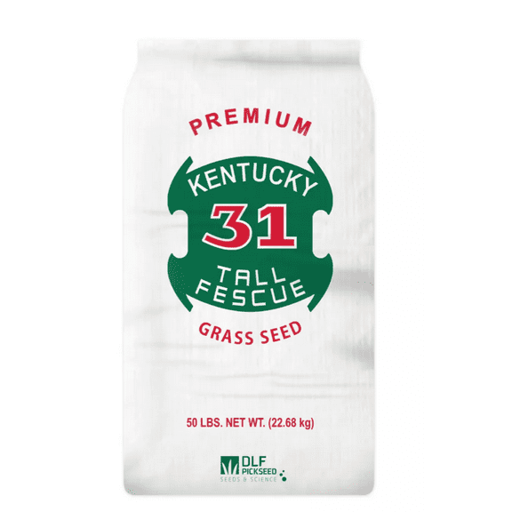 DLF 50 lb. 8,000 sq. ft. Kentucky-31 Tall Fescue Grass Seed