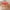 🔥 Red_Base#1034, variant on Stretch Square Tablecloth Cover | 33.86x33.86 Inch Elastic Fitted Table Cover | Dustproof Stain Resistant Wrinkle-Free Polyester | Versatile for Dining Card Poker Tables | 1 Pack | Multiple Colors