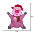 thumbnail image 3 of 3,3' COCHON DANS LE CHAPEAU INFLA, 3 of 6