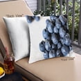 thumbnail image 1 of Ahgly Company Foods Blueberries Outdoor Throw Pillow, 18 inch by 18 inch, 1 of 6