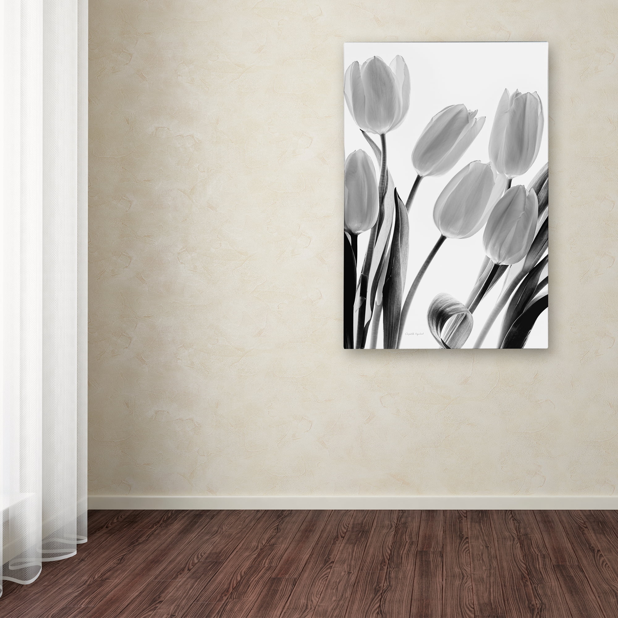 Trademark Fine Art 'Shadows and Light I' Canvas Art by Elizabeth Urquhart