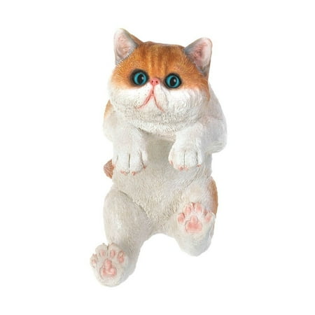 Tom Lehman Memorabilia - Memorabilia Climbing Big-Eyed Kitten
