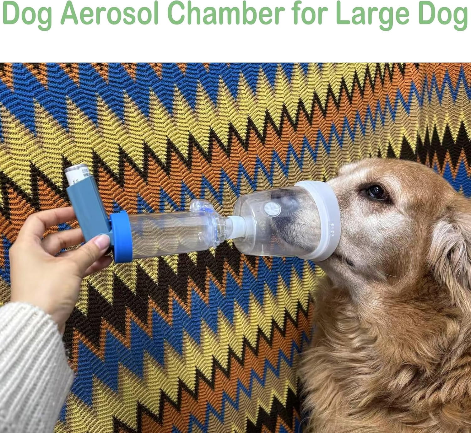 Spacer for Large Dog,Blue