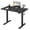 Black, variant on SONGMY Electric Height Adjustable Standing Desk Large 55 x 24 Inches Sit Stand up Desk Home Office Computer Desk Memory Preset with T-Shaped Metal Bracket, Light Wood